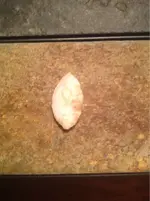 image-30113504.webp