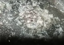 gold in quarts.webp