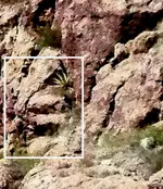 RH-area South(crop)-C.webp