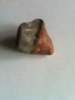 image-4226077424.webp