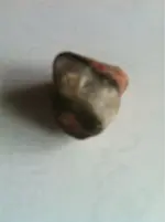 image-613195554.webp