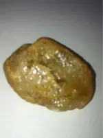image-3333592542.webp