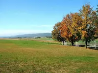 DSCF0001.webp