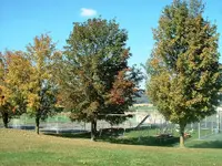 DSCF0003.webp