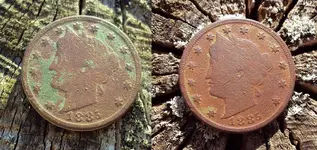 before and after 1885.webp