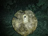 20130929_223728.webp