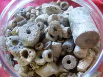 DSCN6725.webp