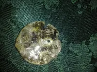 20130929_223840.webp