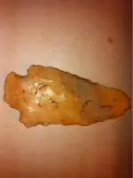 image-3818731202.webp
