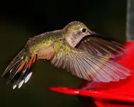 _MG_3435.webp