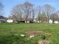 100_0029.webp