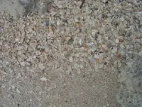 DSC03630.webp