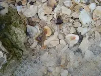 DSC03629.webp