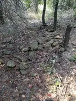 image-3424643949.webp
