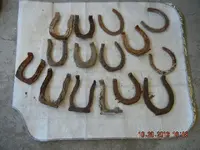 Horseshoes 003.webp
