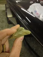 image-3711149717.webp