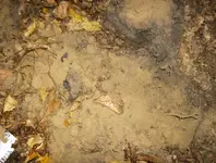 colonial cellar hunt 008.webp