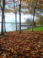 2013-10-23 09.36.39.webp