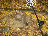 colonial cellar hunt 009.webp