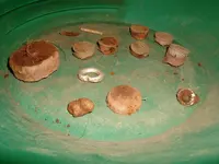 DSCF0014.webp