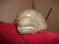 2009-01-01 001 025.webp