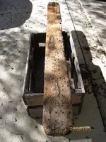 plank2.webp