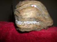 2009-01-01 001 029.webp