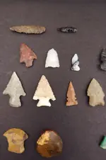 DSCF5761.webp