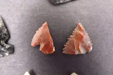 DSCF5766.webp