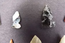 DSCF5767.webp