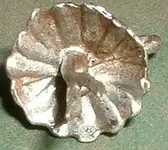 DSCF0001.webp