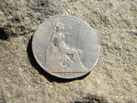 image.webp