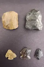 DSCF5782.webp