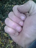 2013-10-23 12.44.27.webp