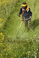 man_with_lawn_mower.webp