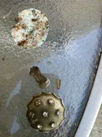 image-3607000244.webp