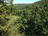 image-4155588864.webp