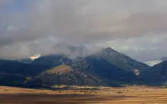 cottonwood 4.webp