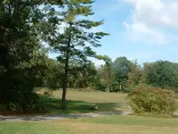 DSCF0001.webp
