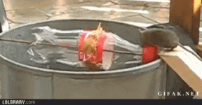 download.gif download.gif