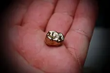 18 K tooth.webp 18 K tooth.webp