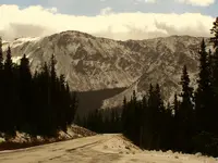 cottonwood 2.webp