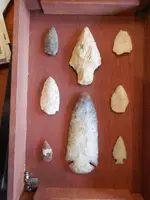 DSCN3505.webp