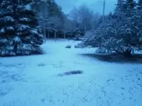 1021130725-00.webp