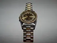 DSCN2047.webp