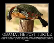 00small51629415.webp