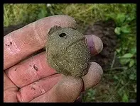 Farm Hunt 002.webp