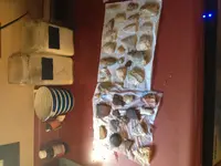 IMG_0570.webp IMG_0570.webp