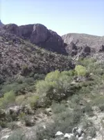 Wash in Arnett canyon.webp Wash in Arnett canyon.webp