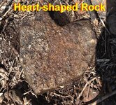 Heart-shaped Rock.jpg